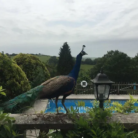 Peregrine Hall Holiday home Lostwithiel